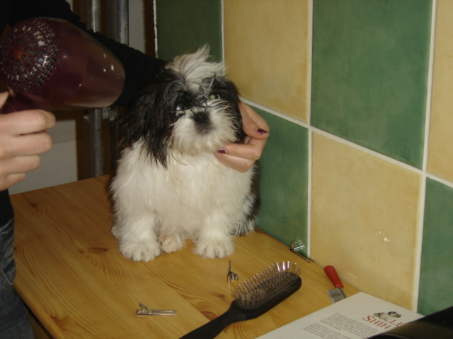 Publication : des Eaux Vives du Ricola Auteur : Florence Chauveau