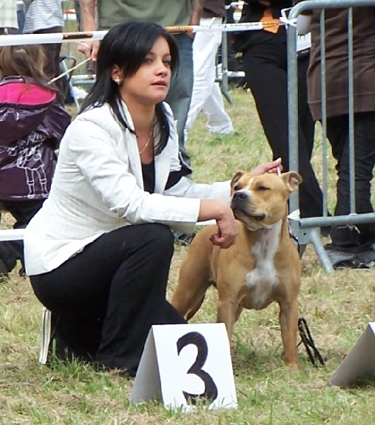 Lords of Darkness Célénia dit biboo - 4eme Excellent classe jeune