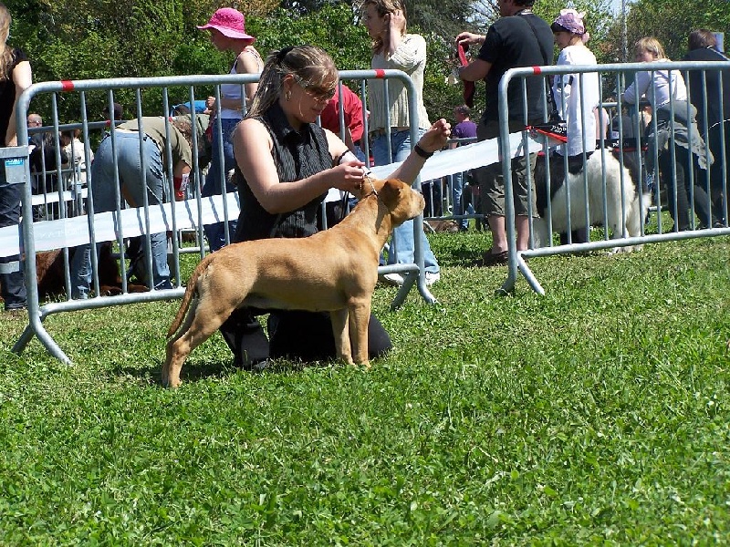 Lords of Darkness Célénia dit biboo - 2 EME EXCELLENT CLASSE JEUNE