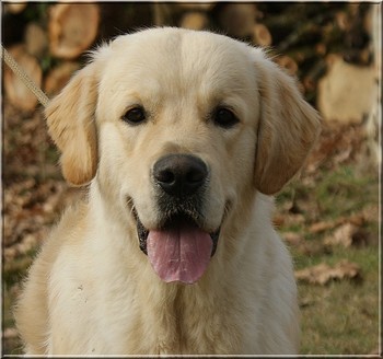 Publication : Of jeppo farm Auteur : POULHALEC BRIGITTE