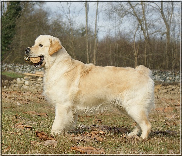 Publication : Of jeppo farm Auteur : POULHALEC BRIGITTE