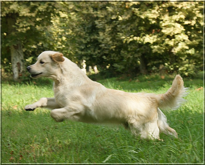 Publication : Of jeppo farm Auteur : POULHALEC BRIGITTE