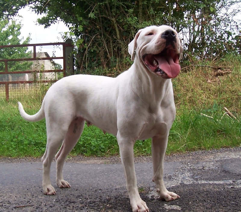 Publication : Des syltoken