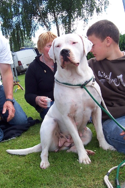 Publication : Des syltoken