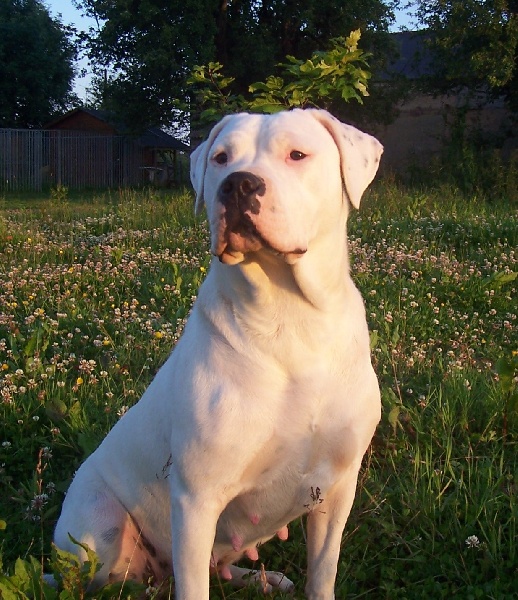 Publication : Des syltoken