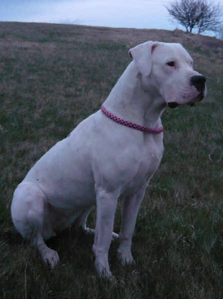 Publication : Des syltoken