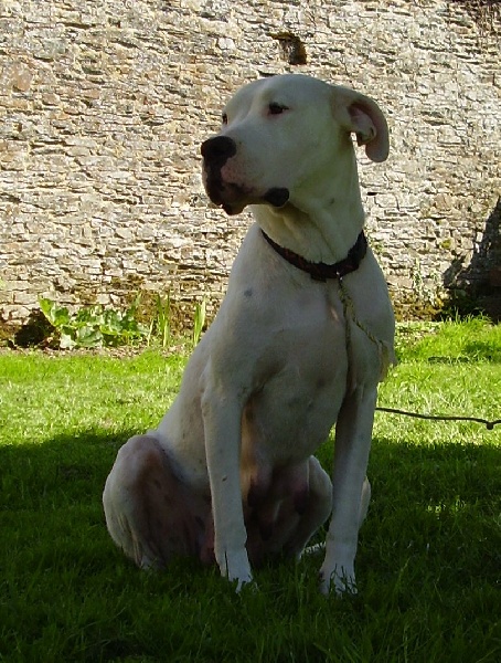 Publication : Des syltoken