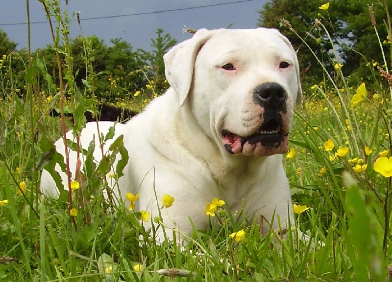 Publication : Des syltoken