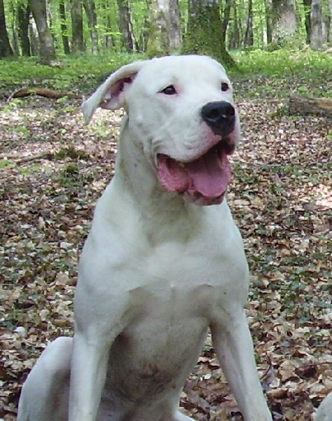 Publication : Des syltoken