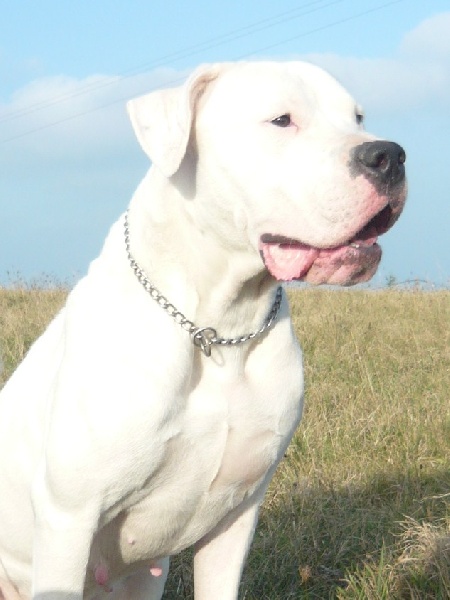 Publication : Des syltoken