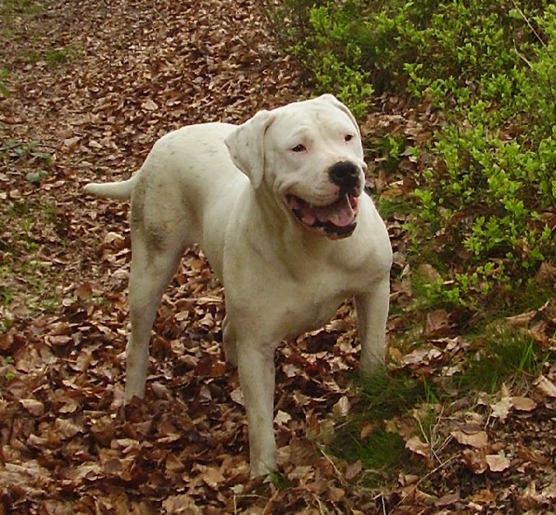 Publication : Des syltoken