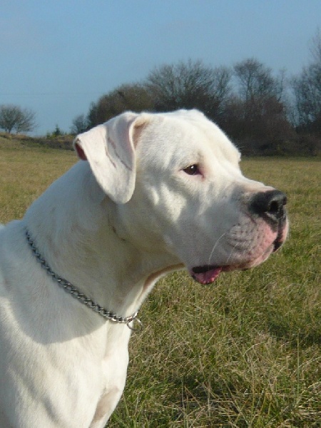 Publication : Des syltoken