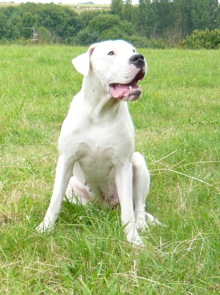 Publication : Des syltoken