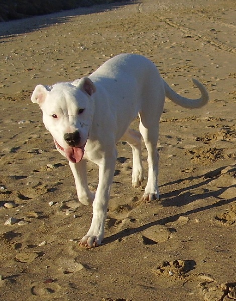 Publication : Des syltoken