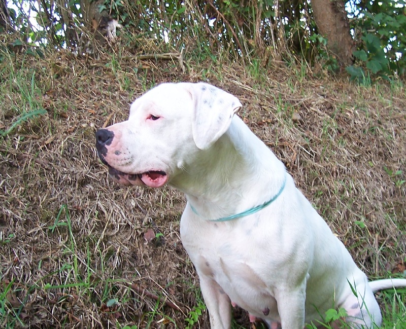 Publication : Des syltoken