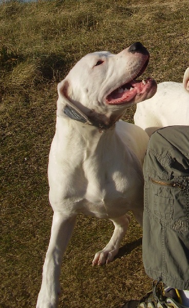 Publication : Des syltoken