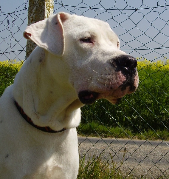 Publication : Des syltoken