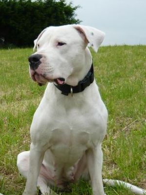 Publication : Des syltoken