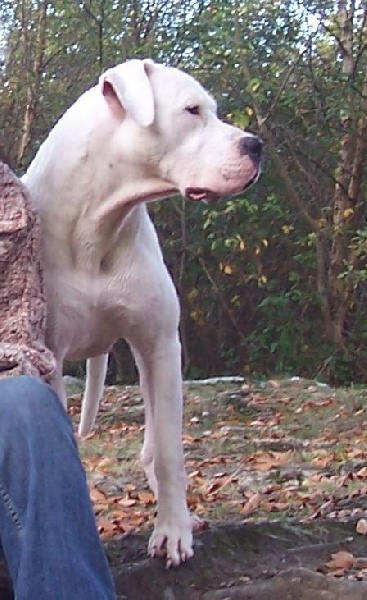 Publication : Des syltoken