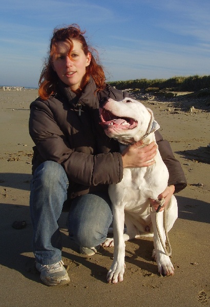 Publication : Des syltoken