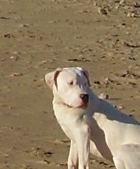 Publication : Des syltoken