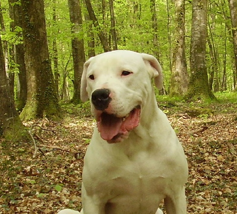 Publication : Des syltoken