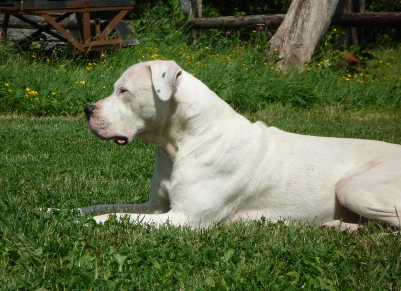 Publication : Des syltoken