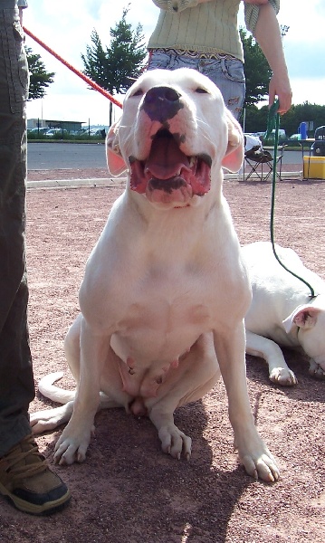 Publication : Des syltoken