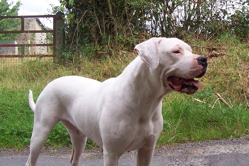 Publication : Des syltoken