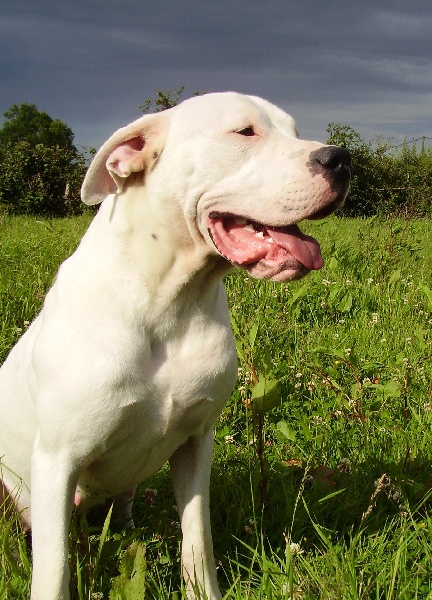 Publication : Des syltoken