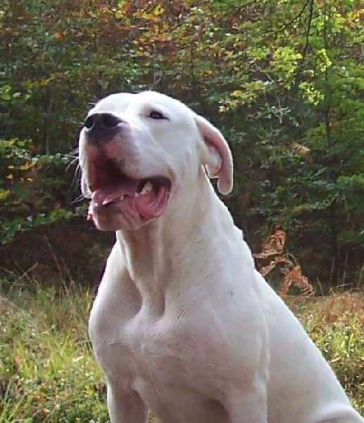 Publication : Des syltoken