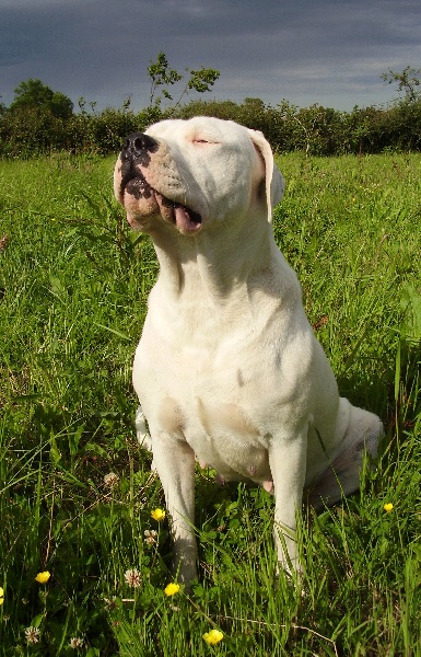 Publication : Des syltoken