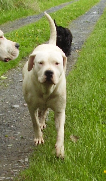 Publication : Des syltoken