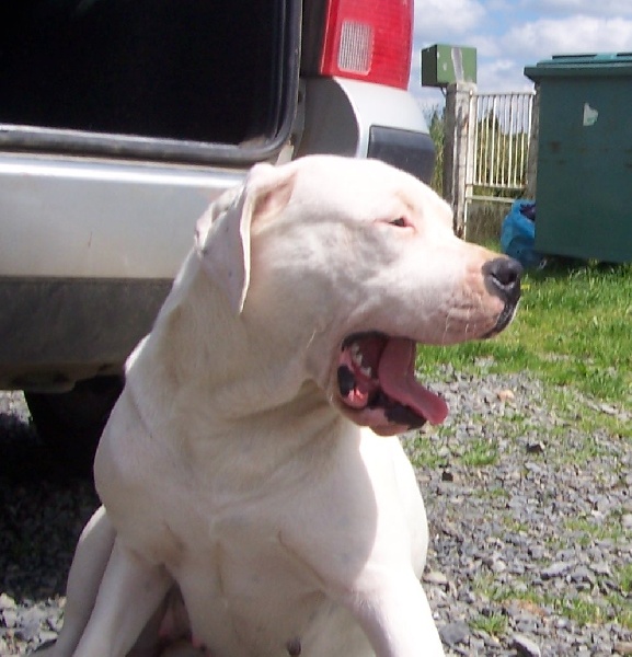 Publication : Des syltoken