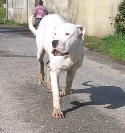 Publication : Des syltoken