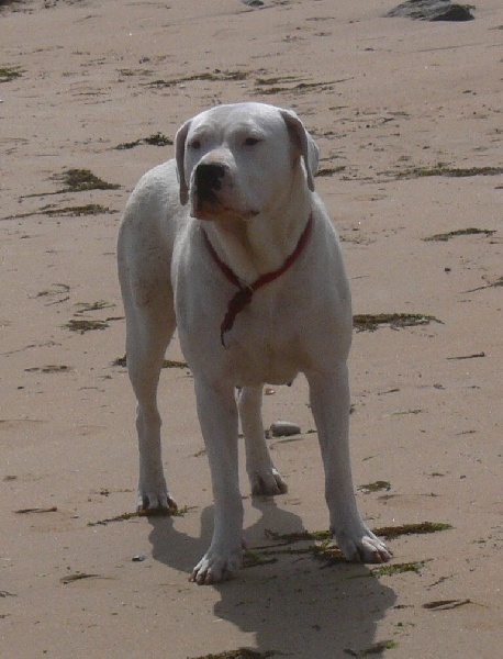 Publication : Des syltoken