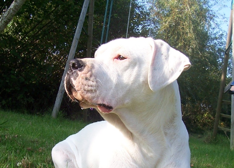 Publication : Des syltoken