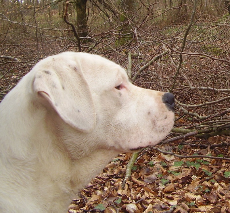 Publication : Des syltoken