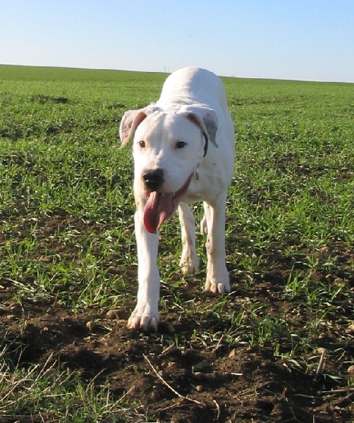 Publication : Des syltoken