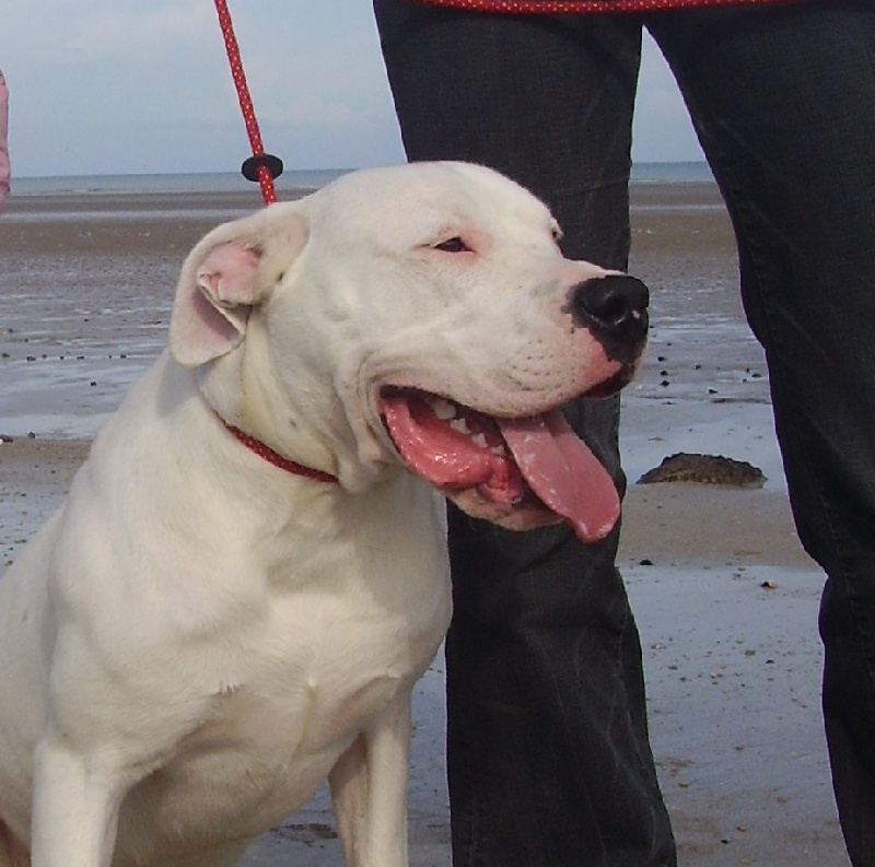 Publication : Des syltoken