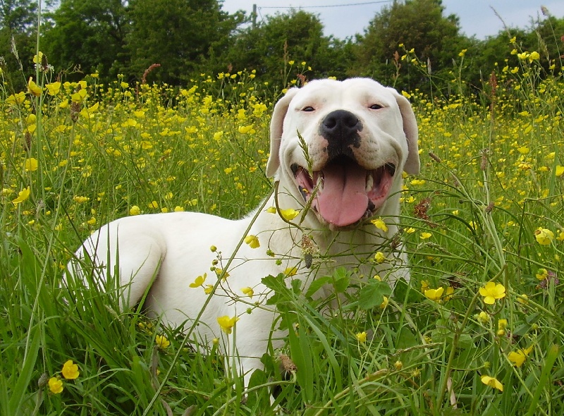 Publication : Des syltoken