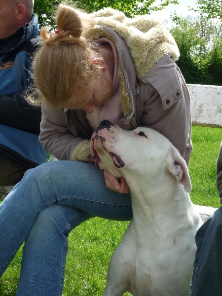 Publication : Des syltoken