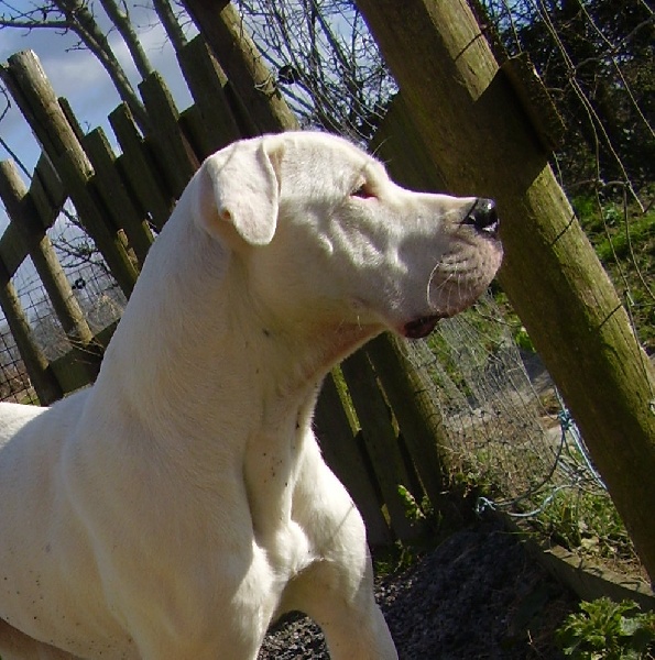 Publication : Des syltoken