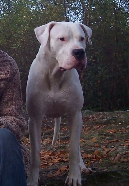 Publication : Des syltoken