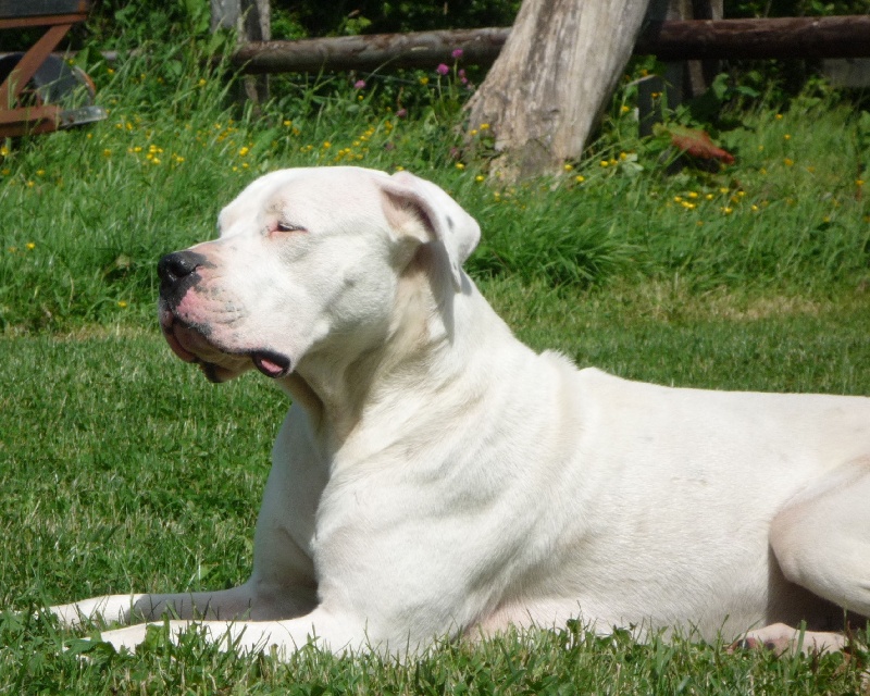 Publication : Des syltoken