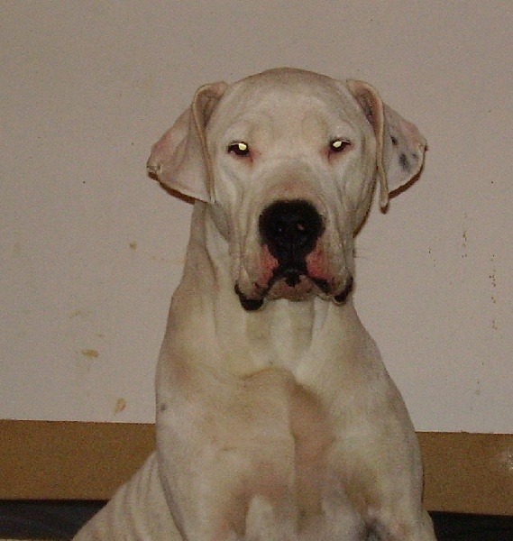 Publication : Des syltoken