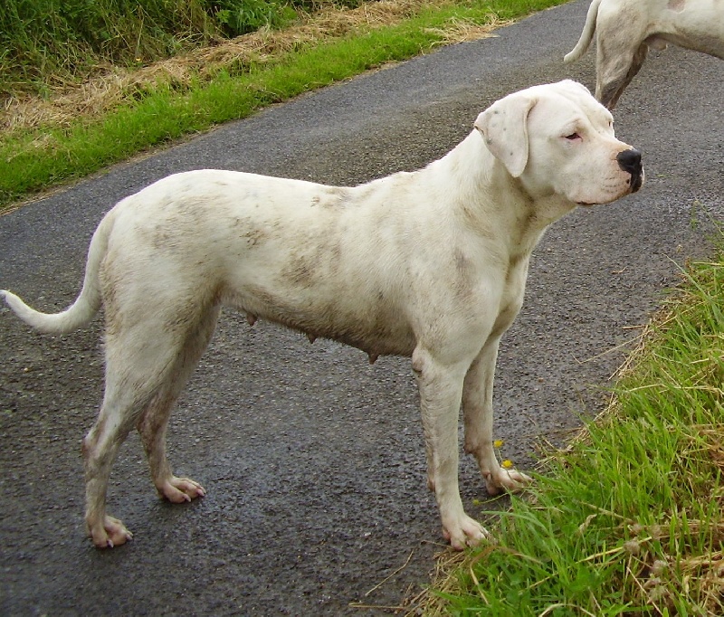 Publication : Des syltoken