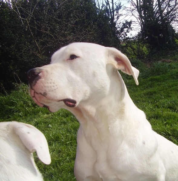 Publication : Des syltoken