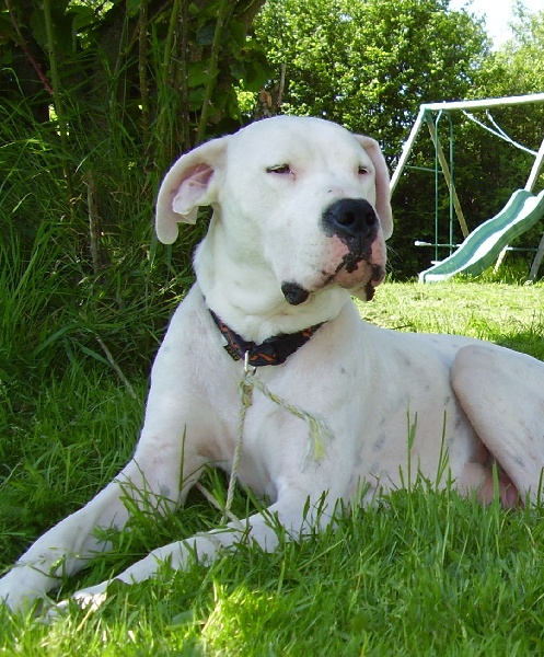 Publication : Des syltoken