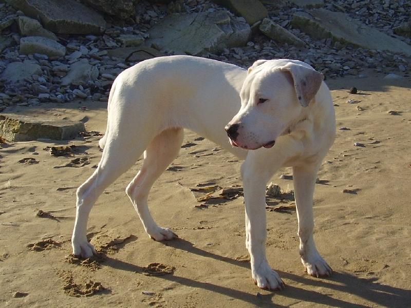 Publication : Des syltoken